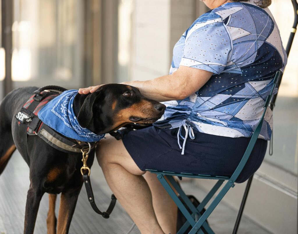 pexels-photo-28134065 A senior woman is sitting outdoors with her attentive therapy dog. The dog wears a service vest and blue bandana.